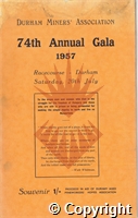 70\b380c4-32c7-4264-9cab-e24b4fef9d54.jpg
